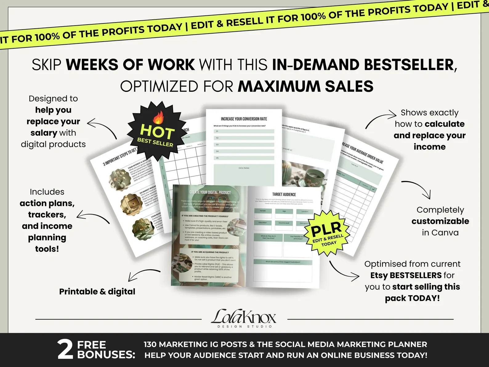 Quit Your 9-5 PLR Workbook for Financial Freedom, Digital Product Guide with Resell Rights, Passive Income Action Plan, Entrepreneur Ebook